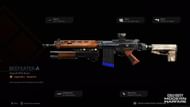 Call of Duty: Semi Auto Rifle.